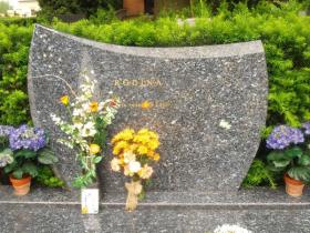 da96f1e21208b8c28d1ef38278bca78c